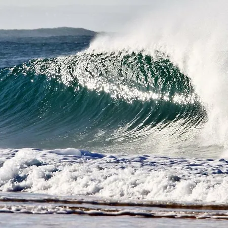 Guest house Surf 2